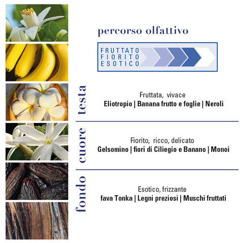 Monoi Paradis Eau de Toilette 50mL