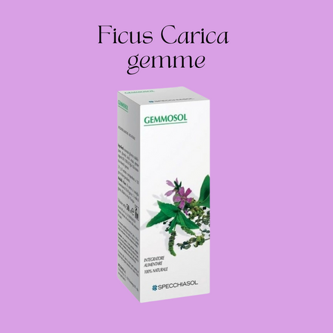 Ficus Carica Gemme 50 ml Specchiasol