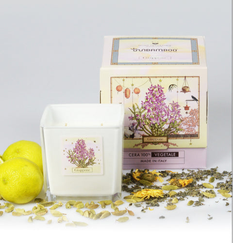 Candela aromatica GIAPPONE (Dendrobium Moniliforme) 440 gr - InnBamboo