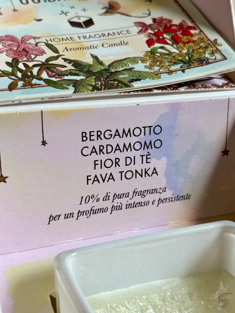 Candela aromatica GIAPPONE (Dendrobium Moniliforme) 440 gr - InnBamboo