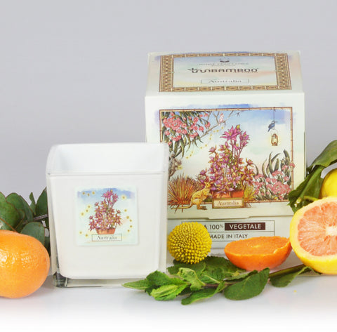 Candela aromatica AUSTRALIA (Thelymytra) 440 gr - InnBamboo