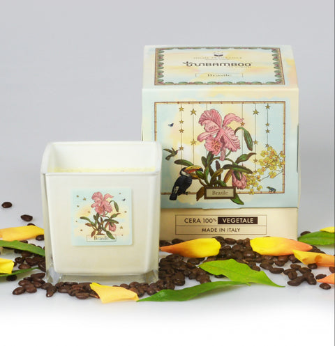 Candela aromatica BRASILE (Cattleya Eldorado) 440 gr - InnBamboo