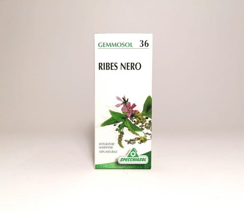 Ribes Nero Gemmoderivato 36 50 ml Specchiasol