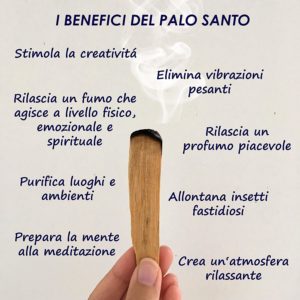 Olio Essenziale di Palo Santo 10 ml Bio Essenze