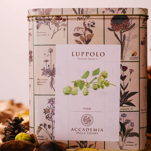 Luppolo, fiori (Humulus lupulus L.) 100 gr