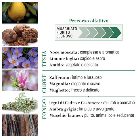 Puro Muschio Oil de Parfum Roll-on 10 mL Helan