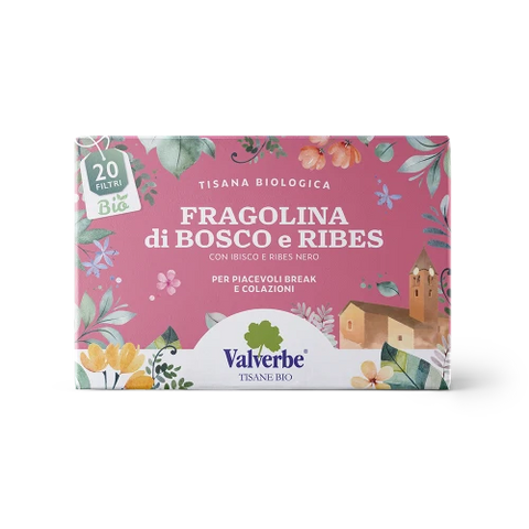 Tisana Fragolina di Bosco e Ribes 20 Filtri Valverbe